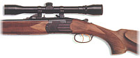 S689 Silver Sable shown with Beretta Scope